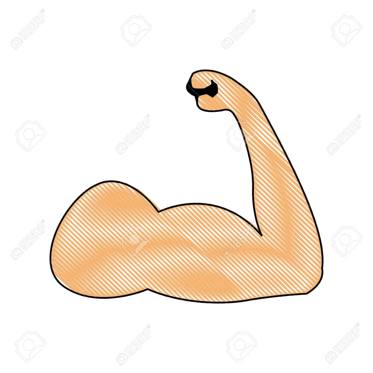 力の強い筋肉腕二頭筋運動ベクトル イラスト のイラスト素材 ベクタ Image 9084