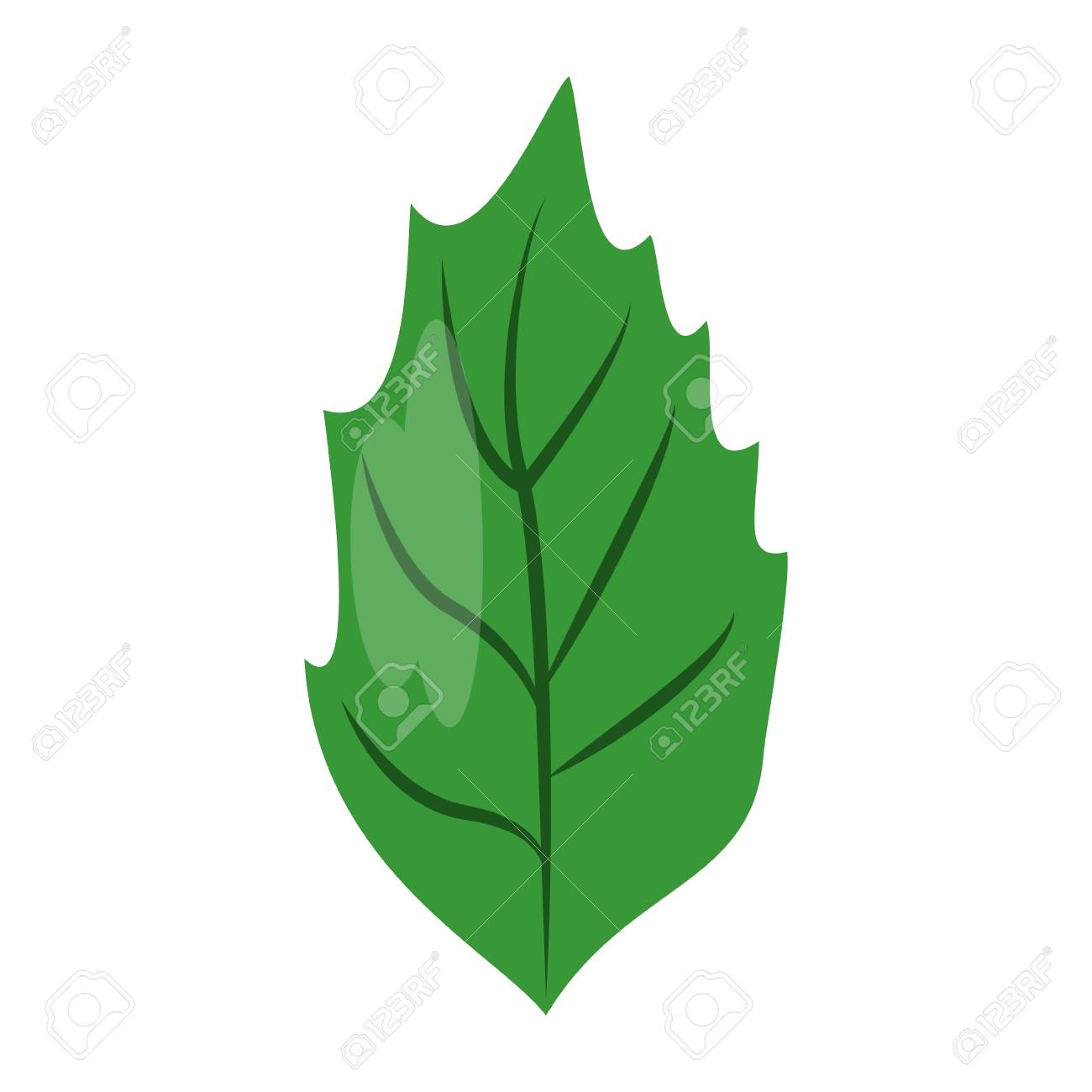 single leaf icon image vector illustration design royalty free