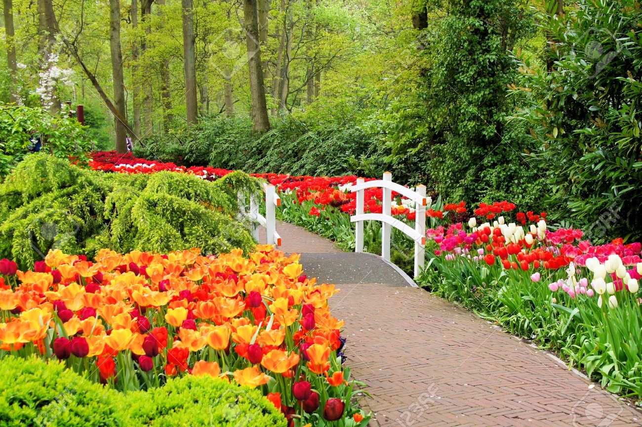 Walkway Through Spring Flowers At Keukenhof Gardens Netherlands Stock Photo Picture And Royalty Free Image Image