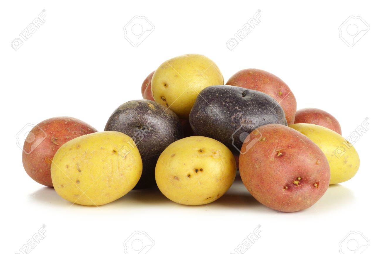 Pile of colorful fresh little potatoes over a white background - 54798383 Pile of colorful fresh little potatoes over a white background - 54798383
