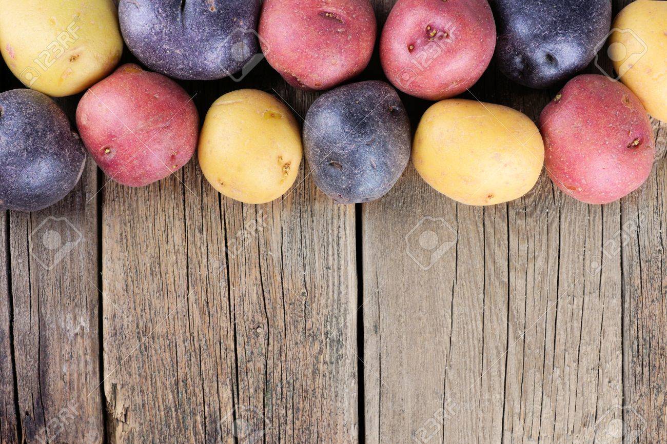 Top border of colorful fresh little potatoes over a rustic old wooden background - 54798395 Top border of colorful fresh little potatoes over a rustic old wooden background - 54798395