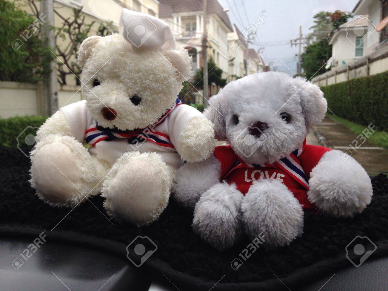 cute little bears stock photo picture and royalty free image image