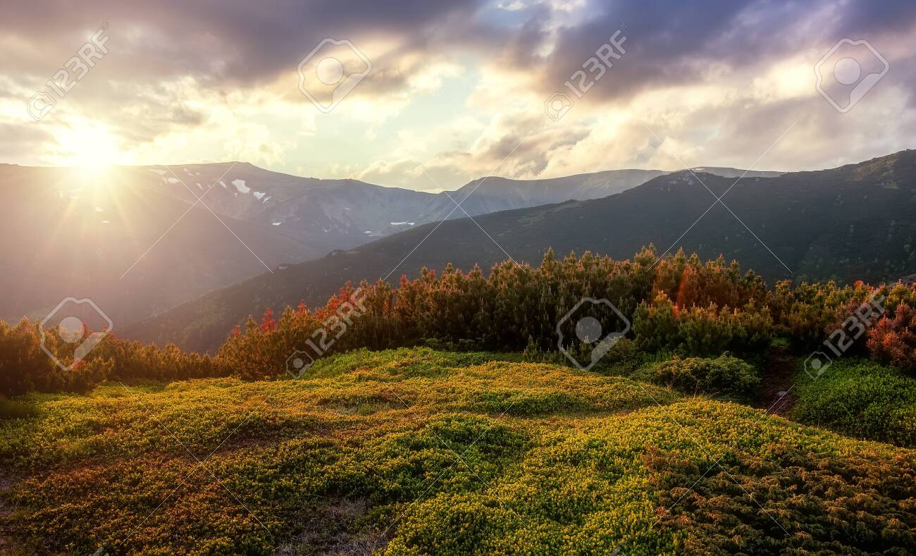 Majestic Sunset In The Mountains Hills Under Warm Sunlight Amazing Stock Photo Picture And Royalty Free Image Image 123602455