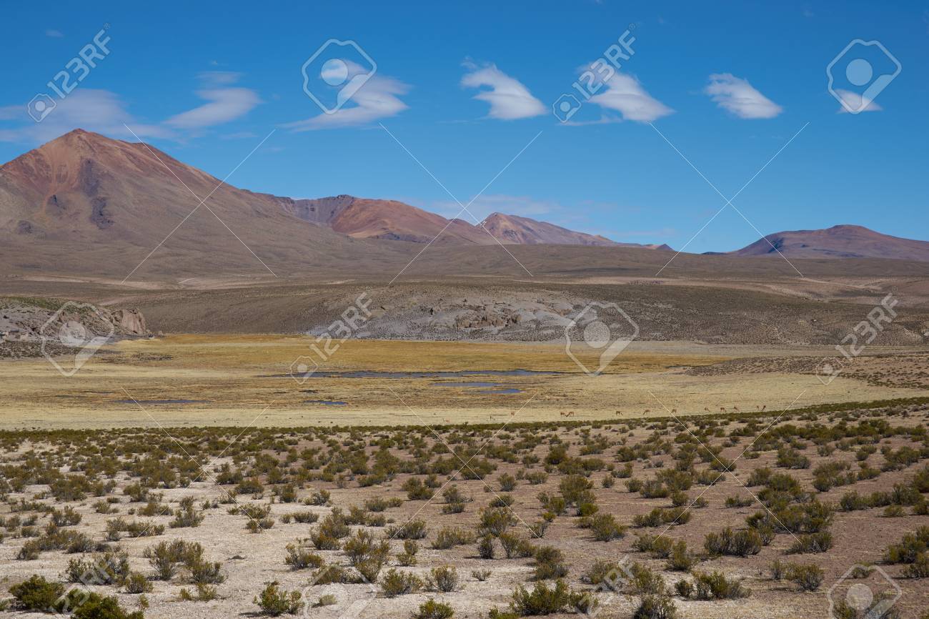 large open plain high up in the altiplano of northern chile stock