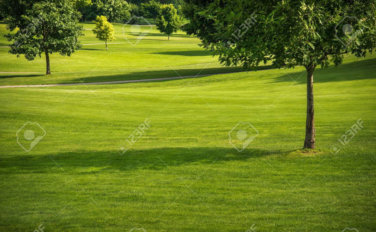 日当たりの良い芝生を緑の草と雨の日 の写真素材 画像素材 Image