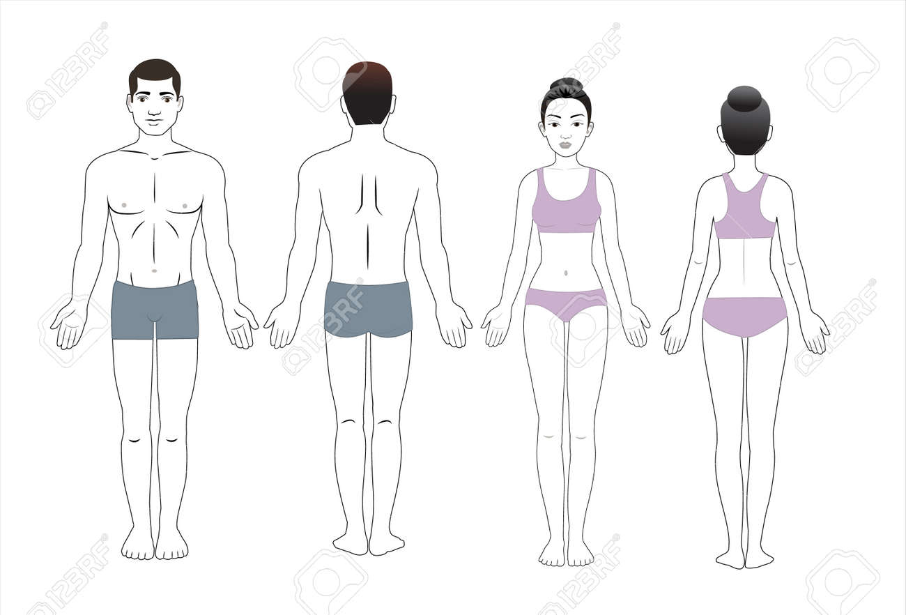 male-and-female-body-chart-front-and-back-view-blank-human-body-template-for-medical-infographic-vector-illustration-royalty-free-svg-cliparts-vectors-and-stock-illustration-image-184490917