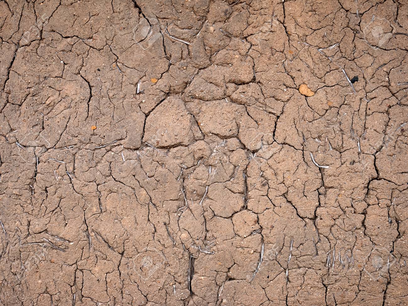 Textura De La Pared Del Hogar Del Suelo Cerca De Materiales De