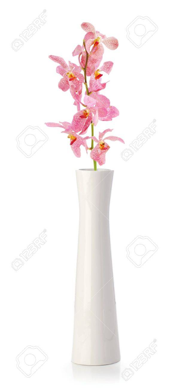 Pink Orchid flower in white vase isolated on white - 13507936 Pink Orchid flower in white vase isolated on white - 13507936