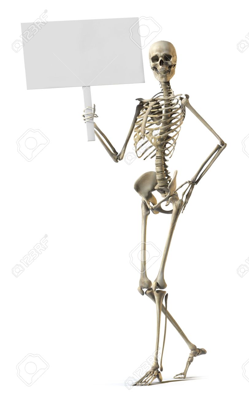 Un Squelette Debout Legere Et Detenant Un Signe Sur Un Fond Blanc Banque D Images Et Photos Libres De Droits Image