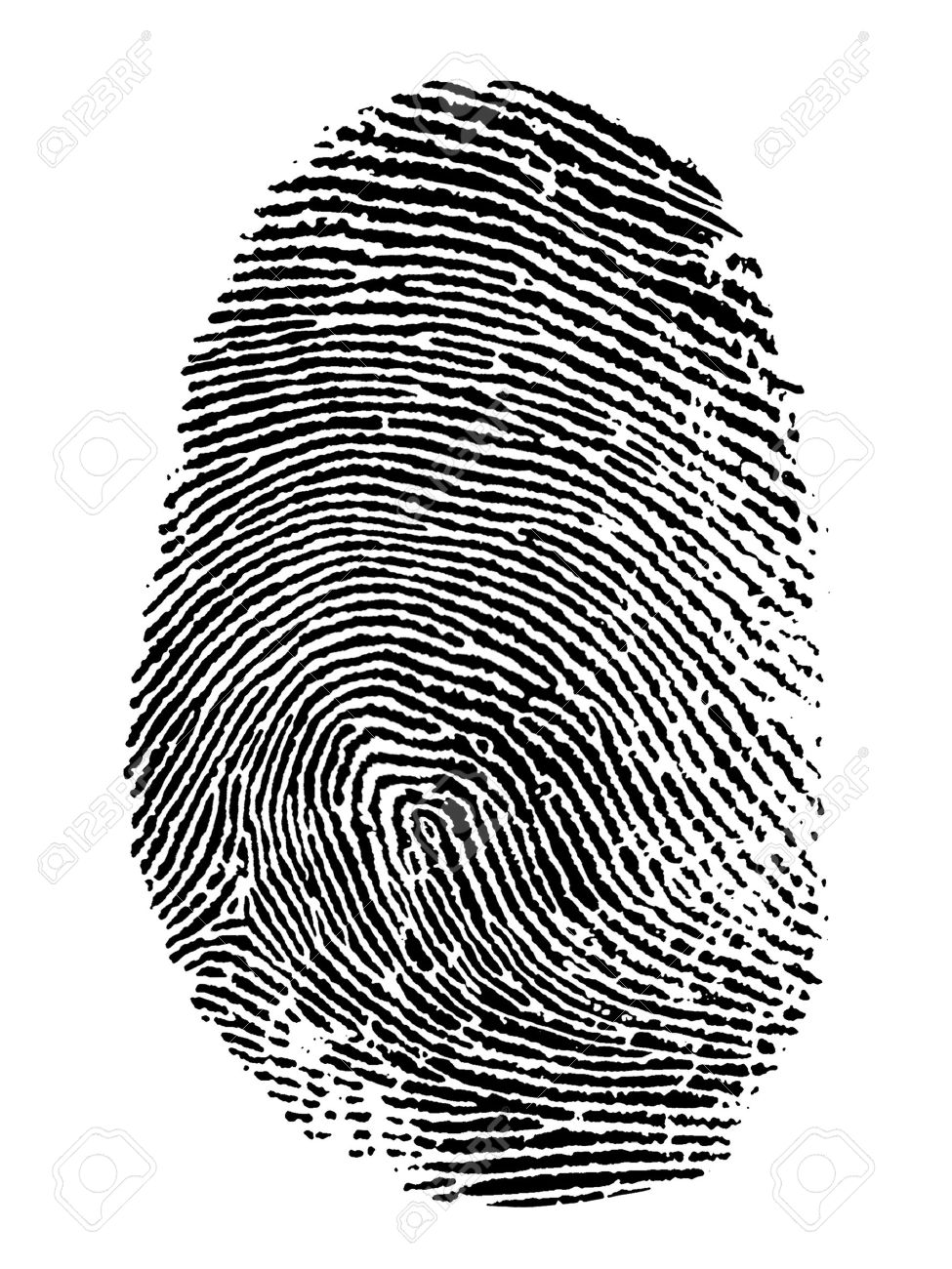 Thumb Print On White Background Stock Photo, Picture And Royalty ...