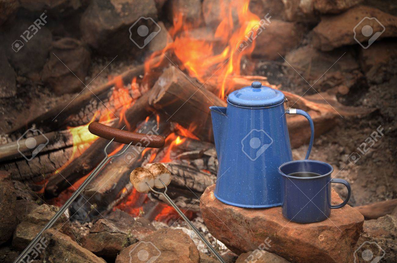 hotdog and marshmallows roasting over a campfire next to a blue