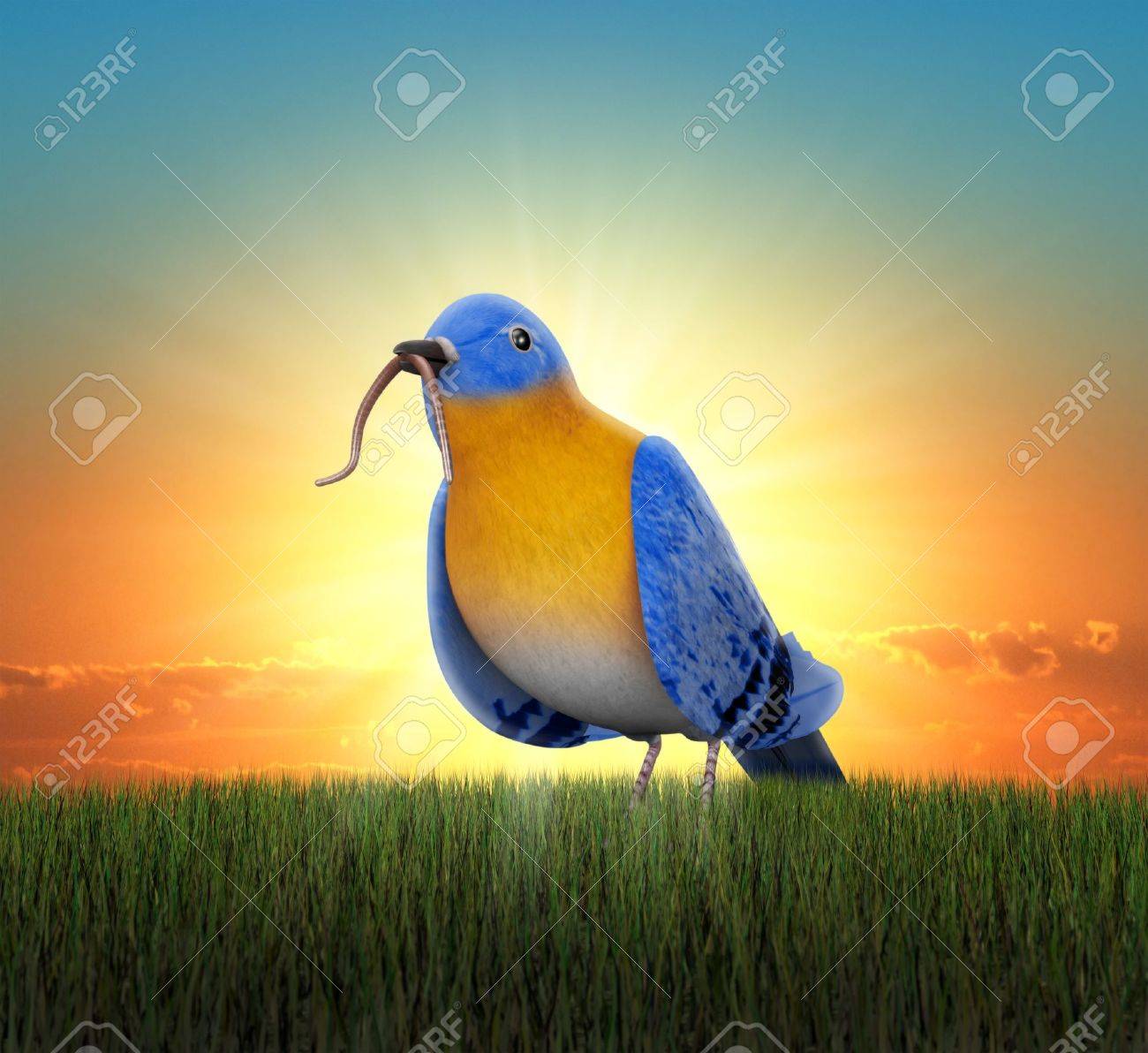 Bluebird standing in green grass, catching tha worm as the sun rises behind him - 16948148 Bluebird standing in green grass, catching tha worm as the sun rises behind him - 16948148