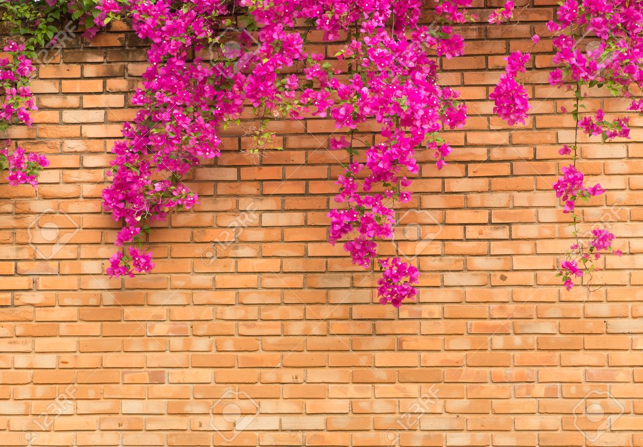 close up orange brick wall with pink flowers texture background