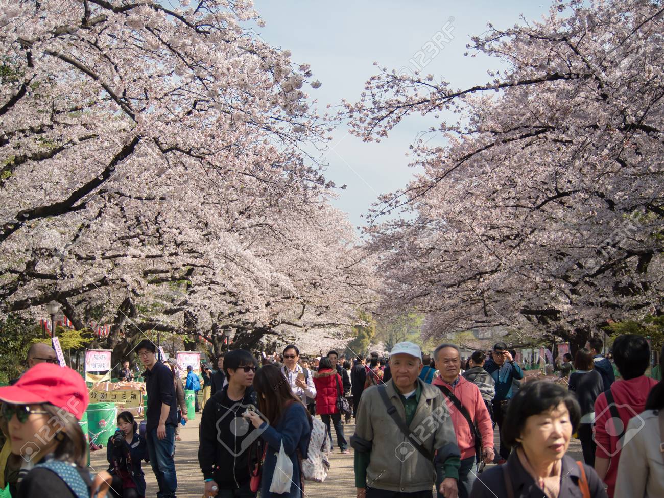東京 日本 06 年 4 月 16 上野公園は東京都は台東上野地区で広々 とした公園 した最も有名な人々 にリラックスした置き 桜さくらの表示をお楽しみください の写真素材 画像素材 Image