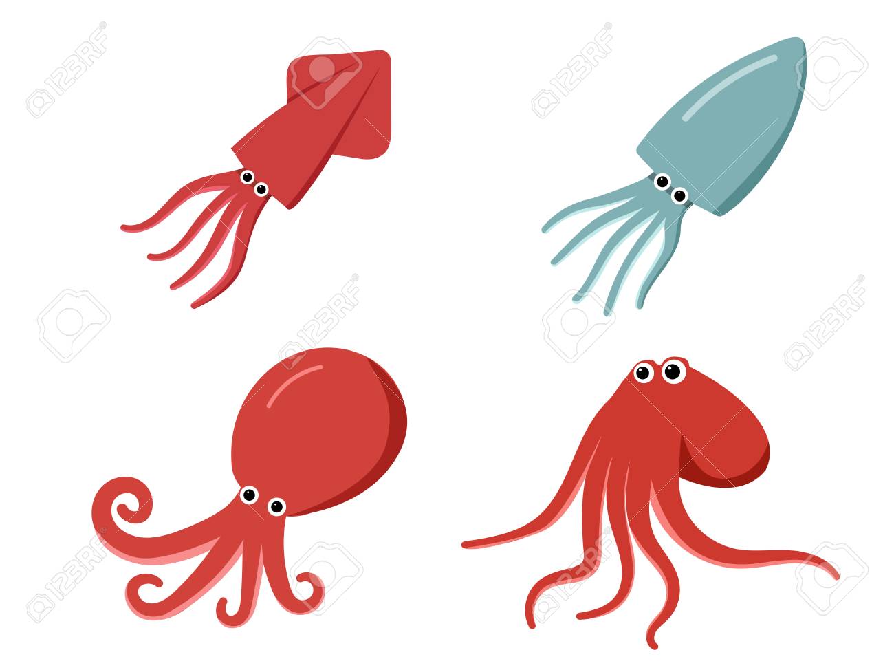 squid octopus and cuttlefish