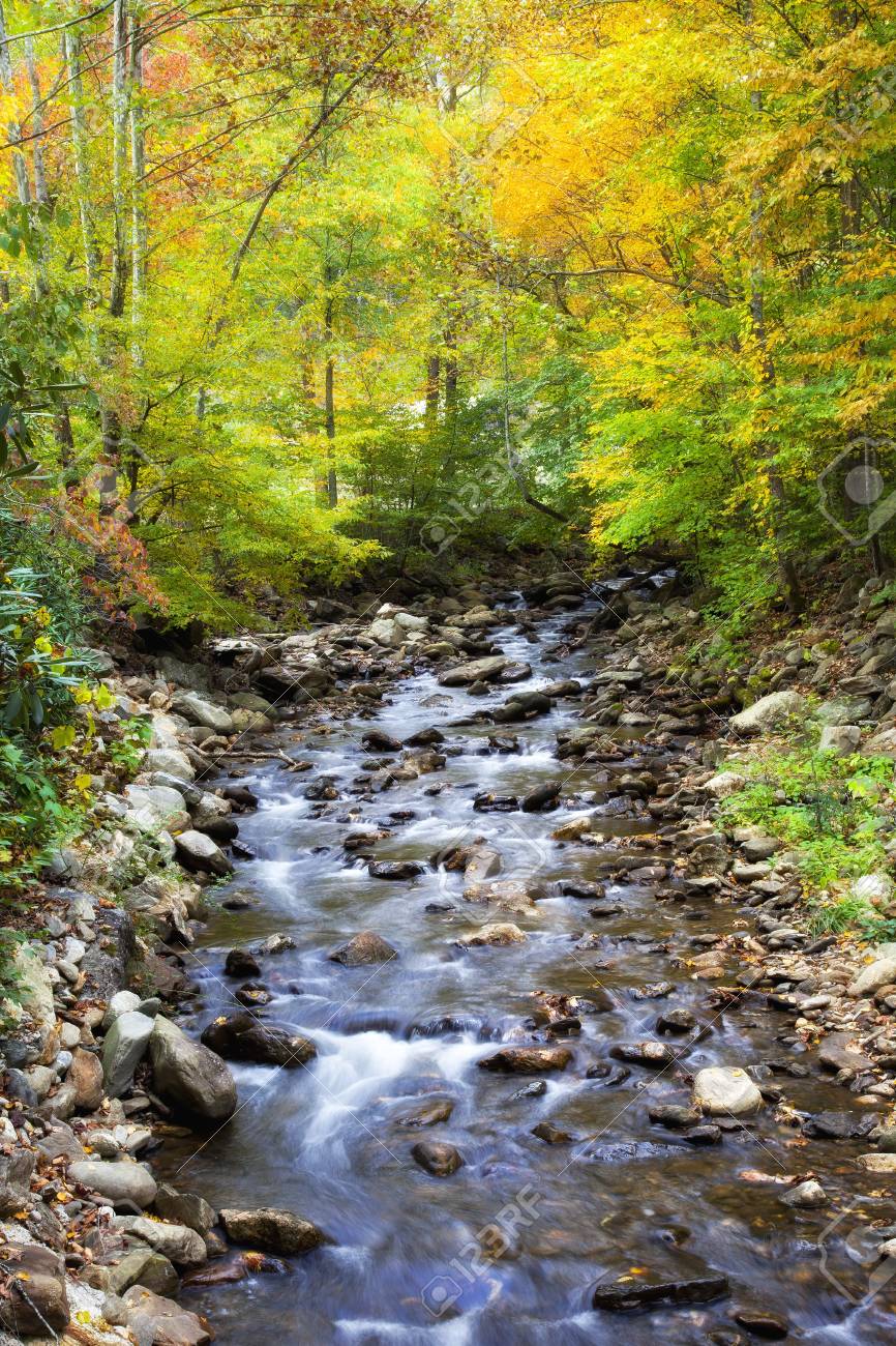 Creek beautiful rare photo Creek beautiful rare photo