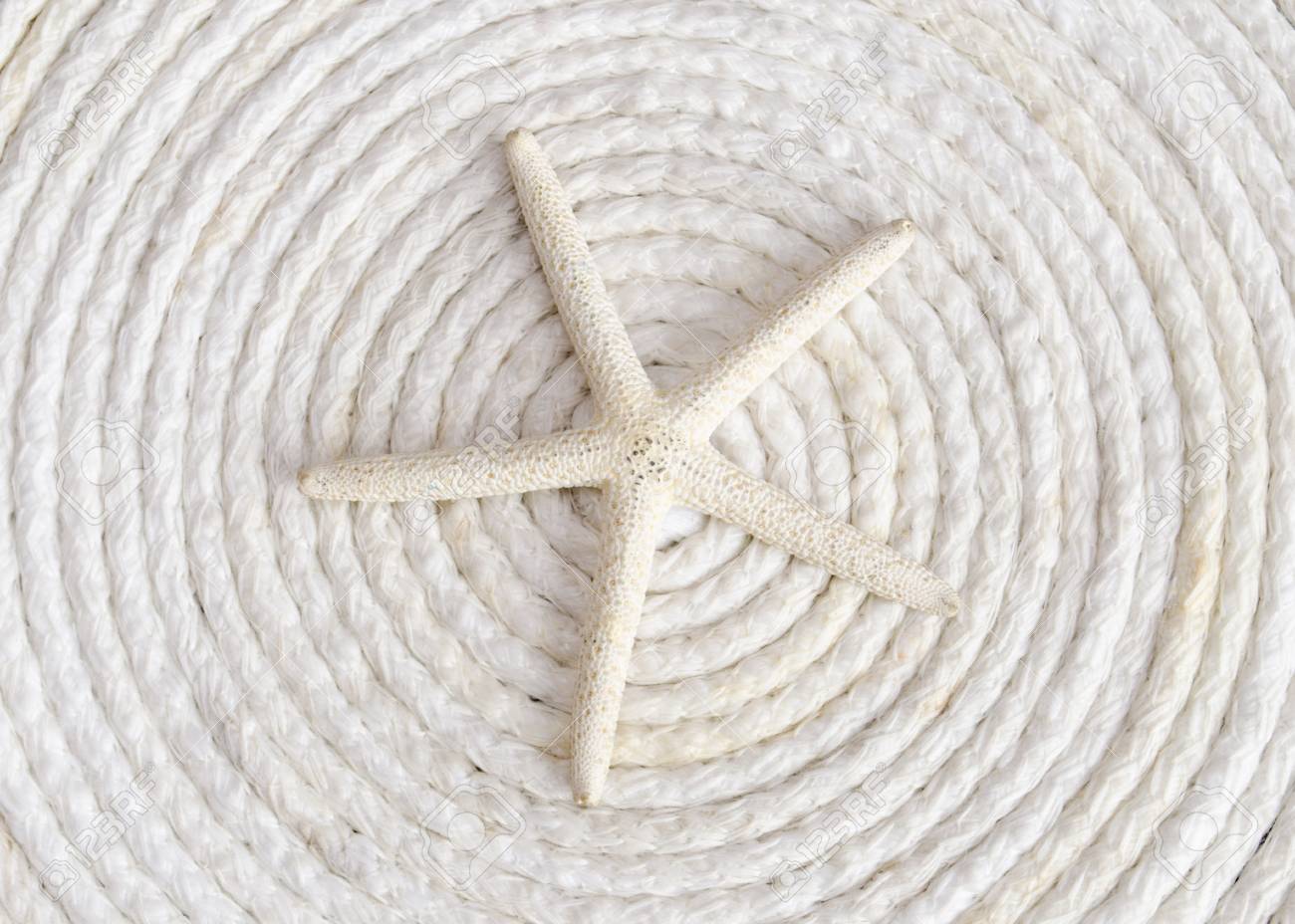 Seule étoile De Mer Blanche Sur Corde Blanche Enroulée En Cercle Au Dessus