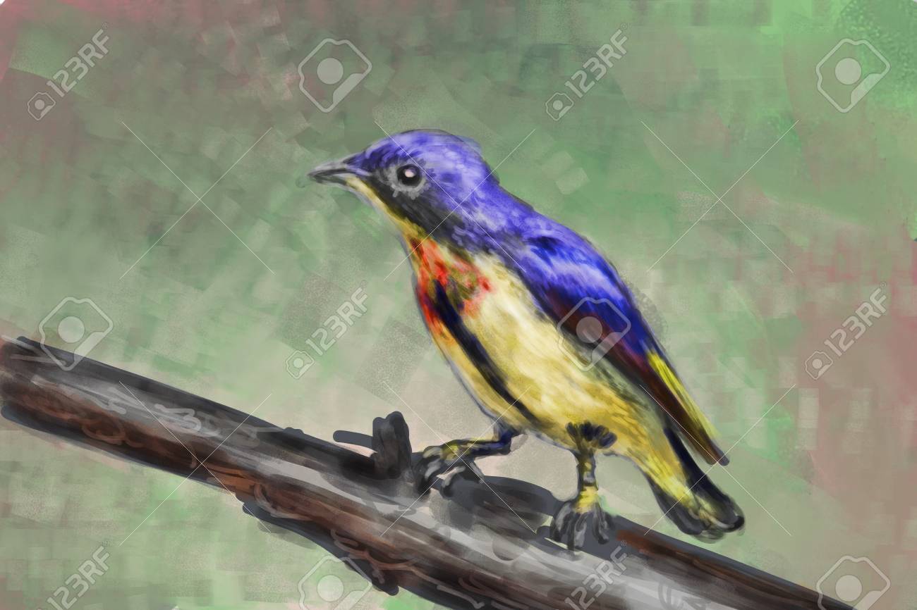 Cg 絵画鳥手描します の写真素材 画像素材 Image Cg 絵画鳥手描します の写真素材 画像素材 Image
