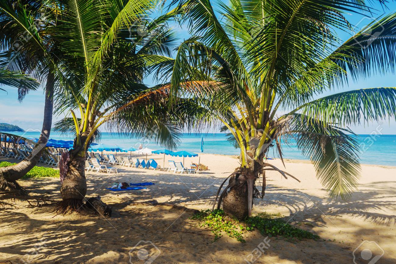 Plage Avec Sable Blanc Et Mer Bleue Et Ciel Bleu Et Cocotier Ensoleillé En Saison Estivale De Vacances Phuket En Thaïlande
