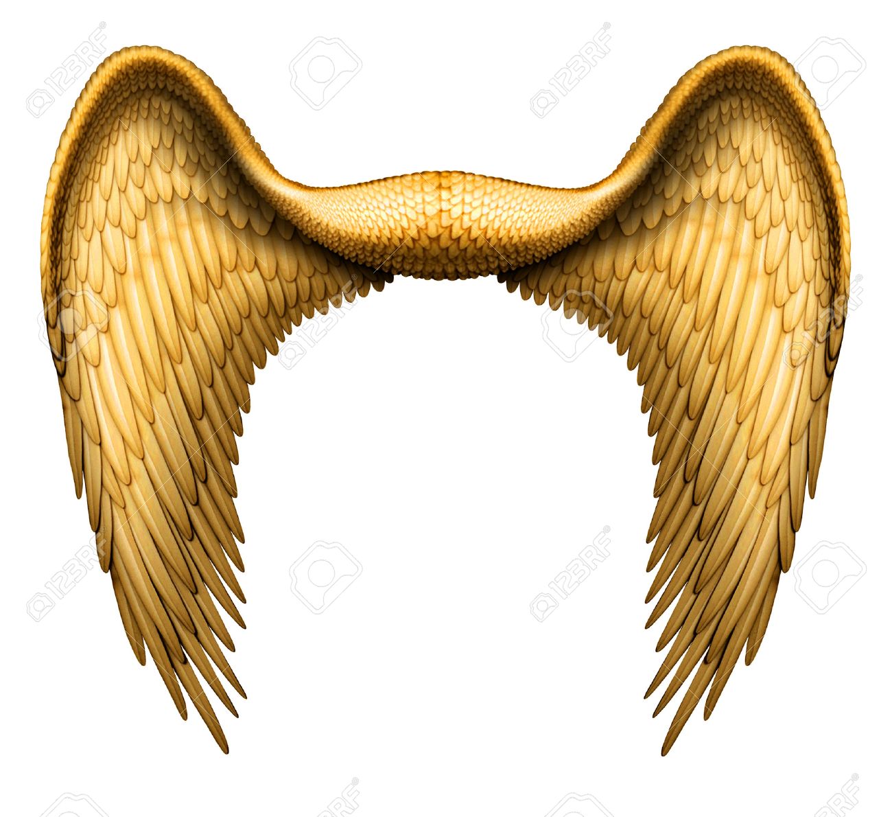 Ilustracion Digital De Alas De Angel Listo Para Ser Compuesta Con Otras Imagenes Fotos Retratos Imagenes Y Fotografia De Archivo Libres De Derecho Image