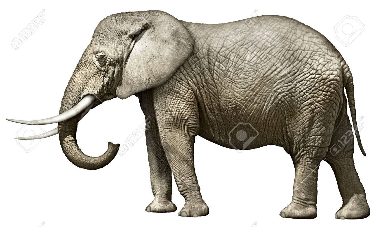 photo illustration of an
