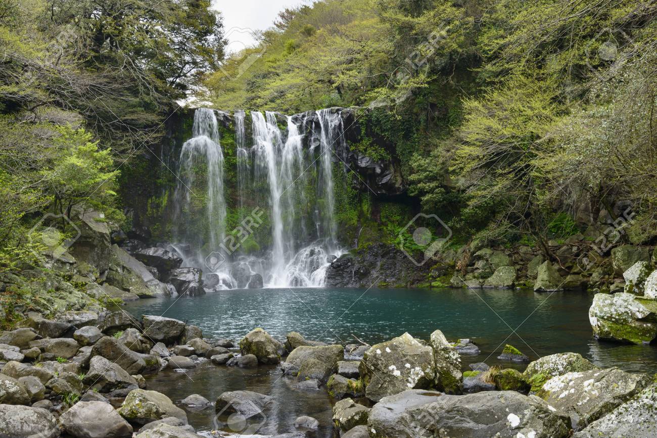天帝淵第 2 カスケード 3 滝 Cheonjeyoen 滝 神の池という意味 で構成されます 滝の周りにさまざまな植物の生命 Inclued マツバラン Nudun が繁栄します 最初のカスケード崖は火山の列で構成されます 最も有名な Ca の一つです の写真素材 画像素材 Image