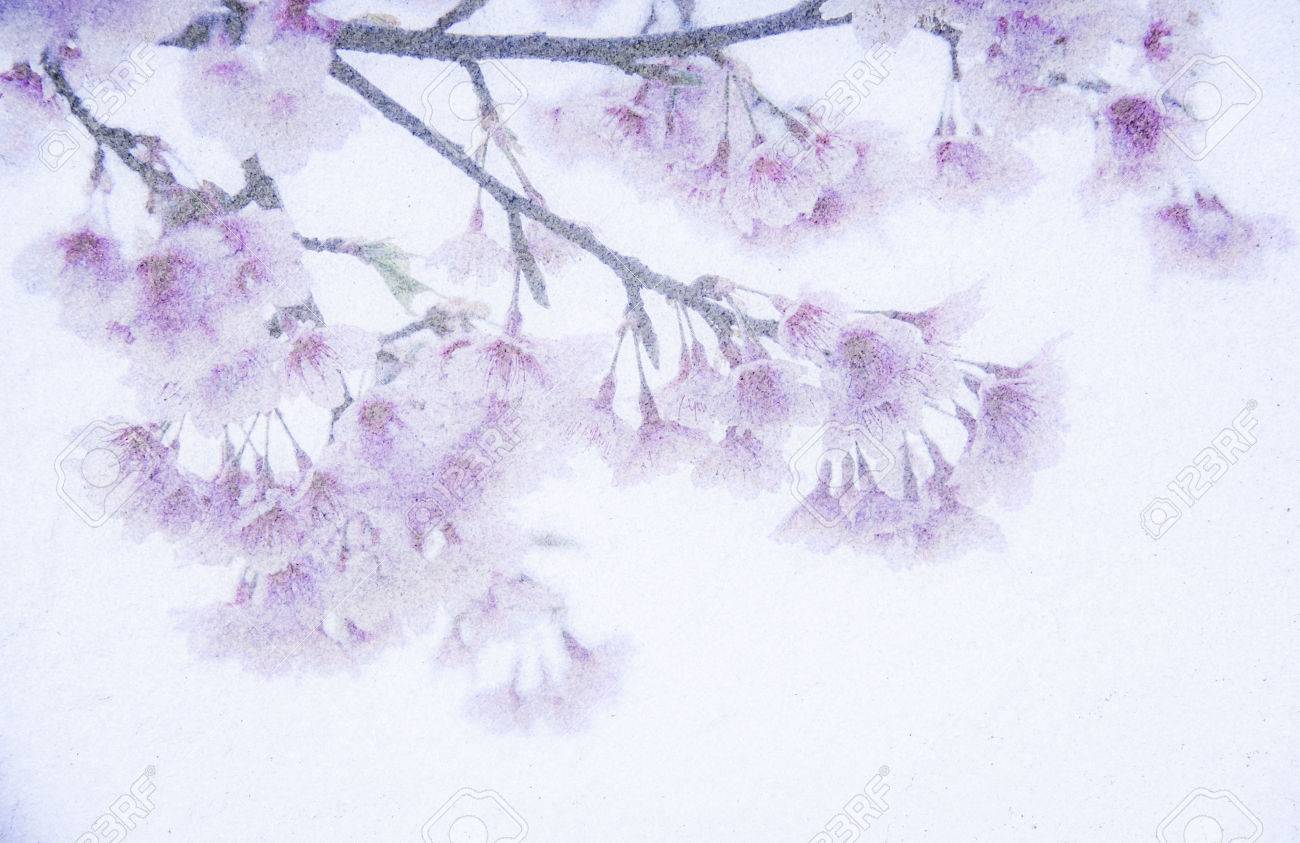 桜の花や桜砂の石のテクスチャ背景 の写真素材 画像素材 Image 桜の花や桜砂の石のテクスチャ背景 の写真素材 画像素材 Image