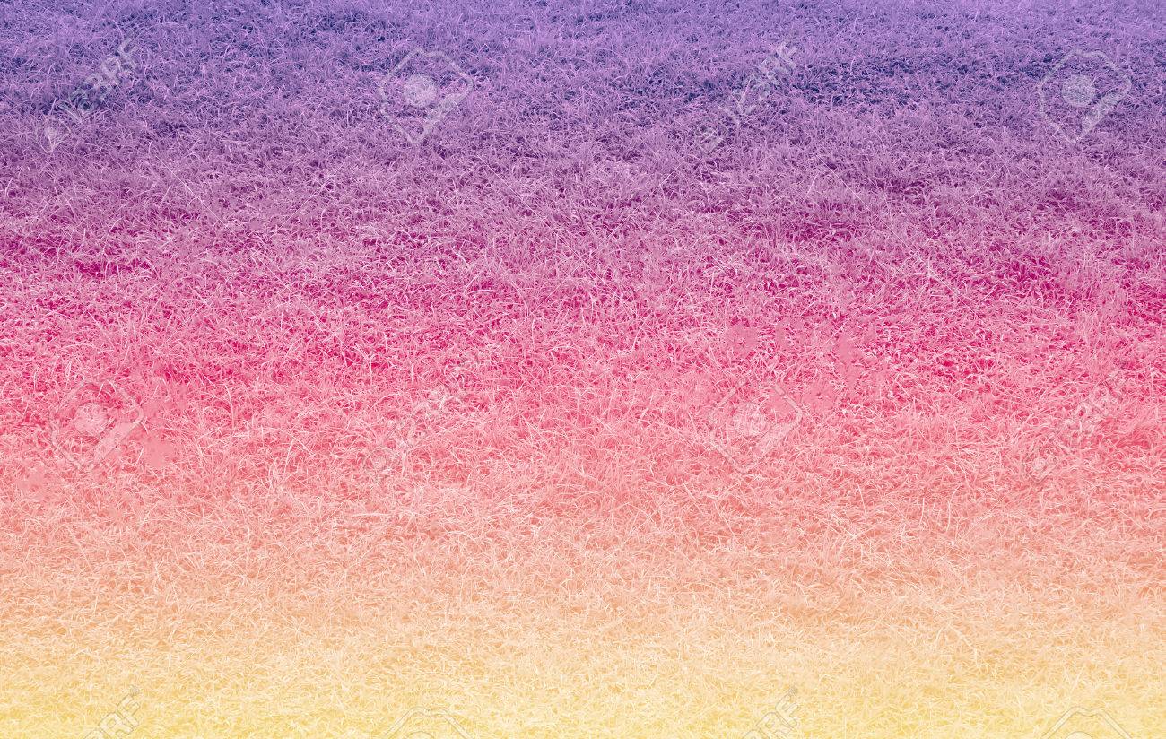 Motif Herbe Texture Sur La Couleur Pastel Rose Violet A Fond Jaune Banque D Images Et Photos Libres De Droits Image Motif Herbe Texture Sur La Couleur Pastel Rose Violet A Fond Jaune Banque D Images Et Photos Libres De Droits Image