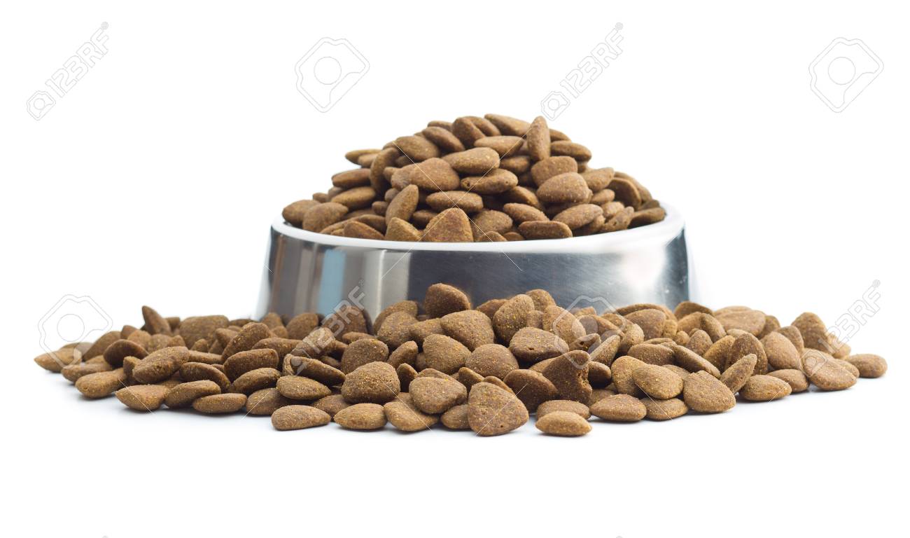 kibble bowl
