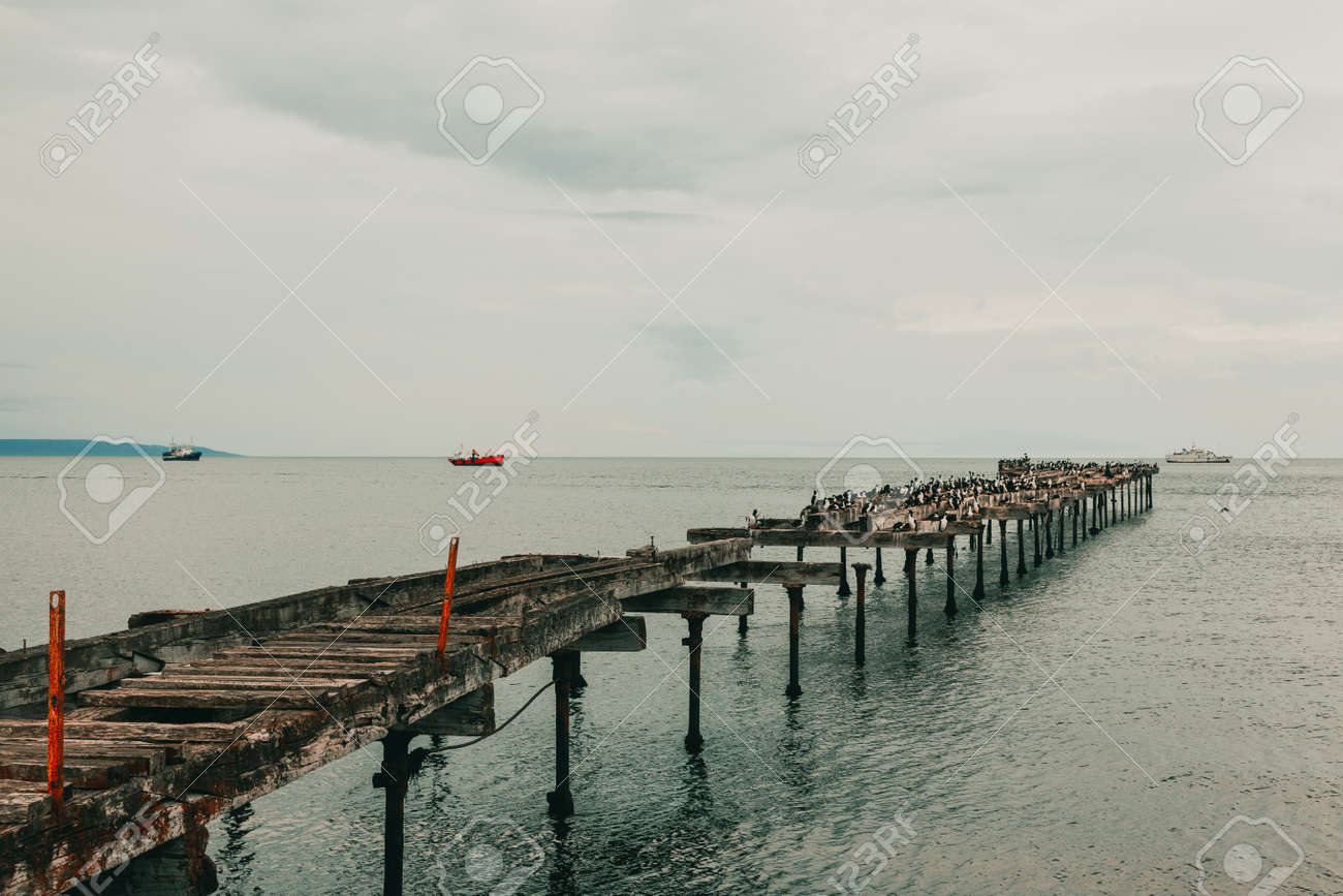The remains of an old pier, now a resting place for seabirds. Sand Point, Chilean Patagonia. - 165315496 The remains of an old pier, now a resting place for seabirds. Sand Point, Chilean Patagonia. - 165315496