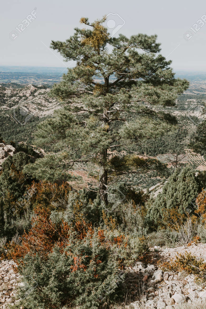 Path to Galera Peak. Teruel province. Spain - 166728536 Path to Galera Peak. Teruel province. Spain - 166728536