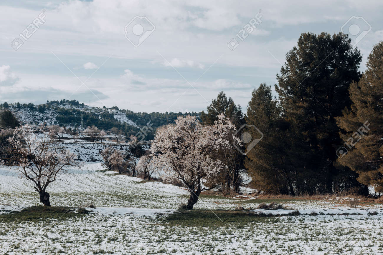 Winter in the fields around Valderrobres. Teruel province - 165804057 Winter in the fields around Valderrobres. Teruel province - 165804057