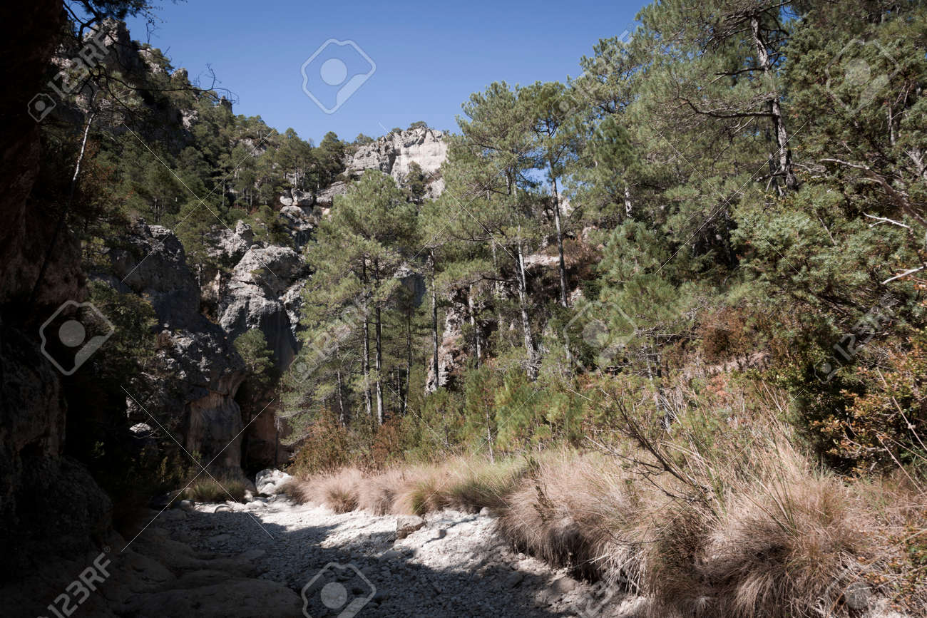 The Gubies in Parrisal Canyon. The Ports Mountains. Teruel province - 166728599 The Gubies in Parrisal Canyon. The Ports Mountains. Teruel province - 166728599