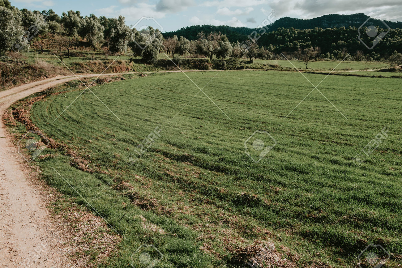 Fields in Matarranya. A region of the province of Teruel, Spain - 170463118 Fields in Matarranya. A region of the province of Teruel, Spain - 170463118