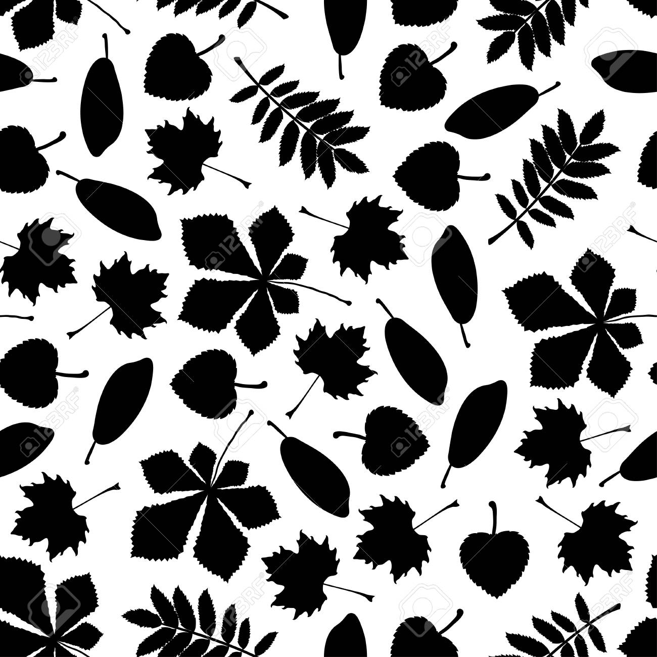 Palm Tree Leaf Wallpaper Black and White Belgravia Decorating Centre  Online