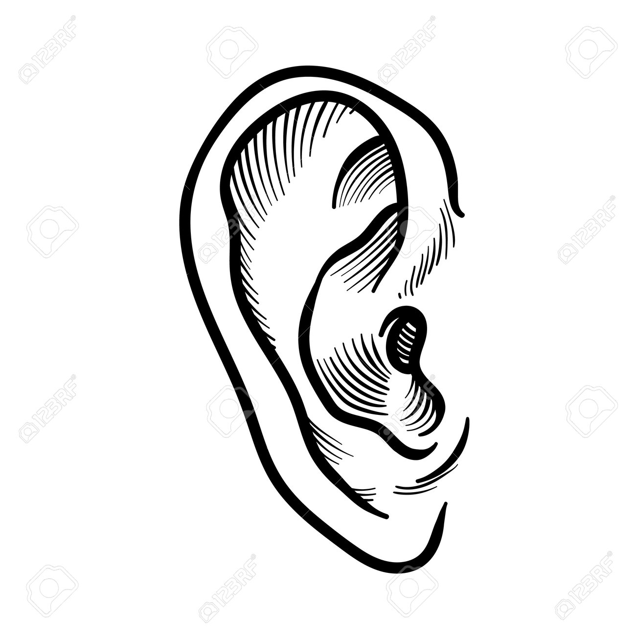 Hand Drawn Ear Sketch Symbol. Vector Listen Element In Doodle Style  Isoleted On White. Royalty Free SVG, Cliparts, Vectors, and Stock  Illustration. Image 162705425., image size:1300x1300