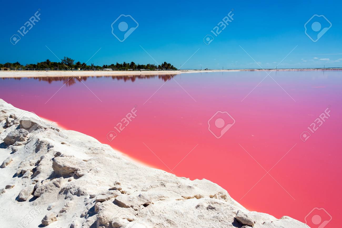 リオ Lagartos メキシコに近い塩の生産のための赤い水を見事な風景 の写真素材 画像素材 Image