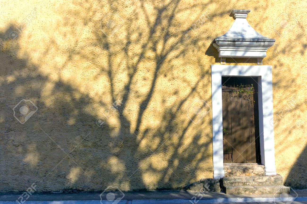 コロニアル様式の建物でバリャドリッド メキシコの影の木 の写真素材 画像素材 Image 77132153