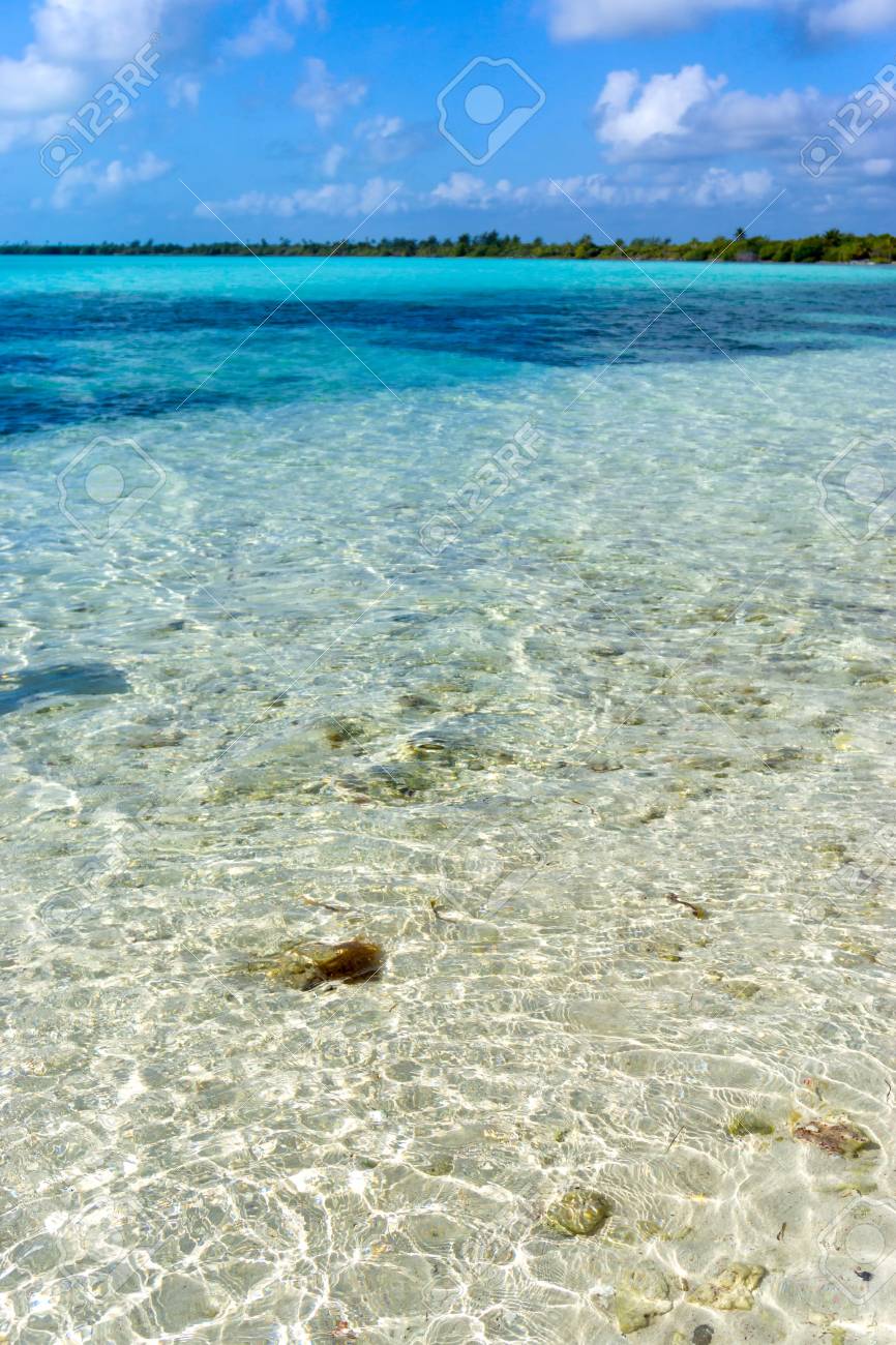Crystal Clear Water In The Caribbean Sea Near Tulum Mexico Stock