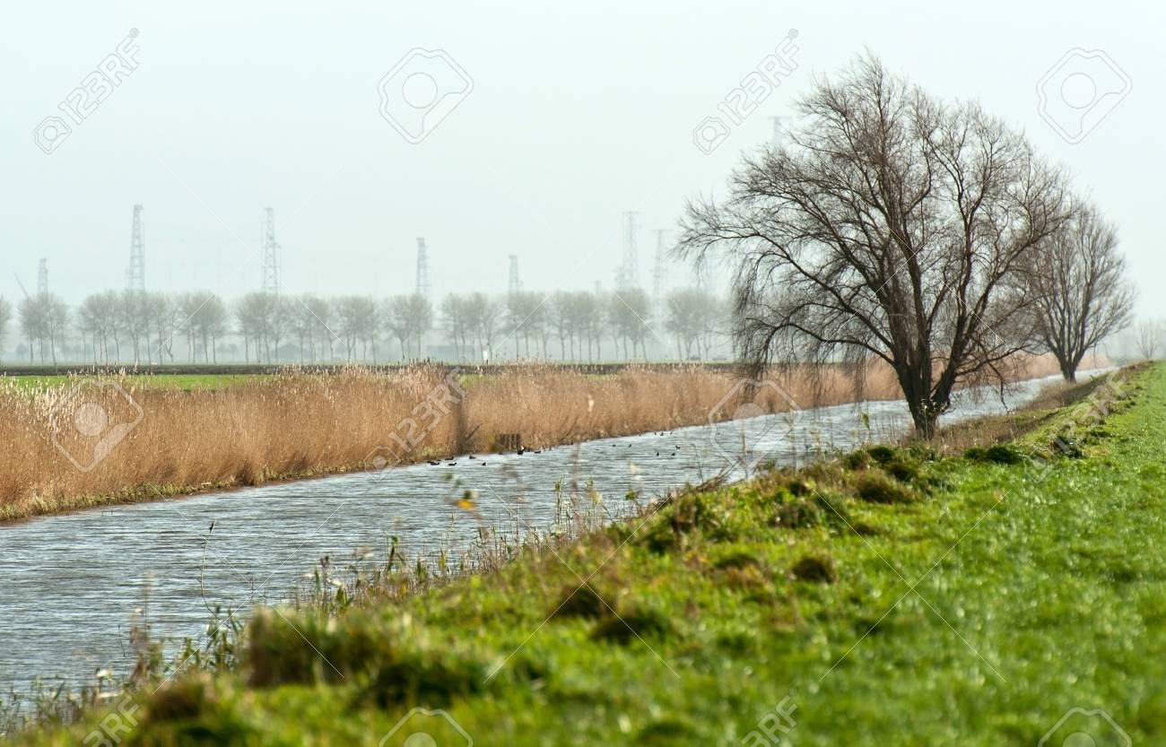 etiam-dictum-ipsum-a-felis