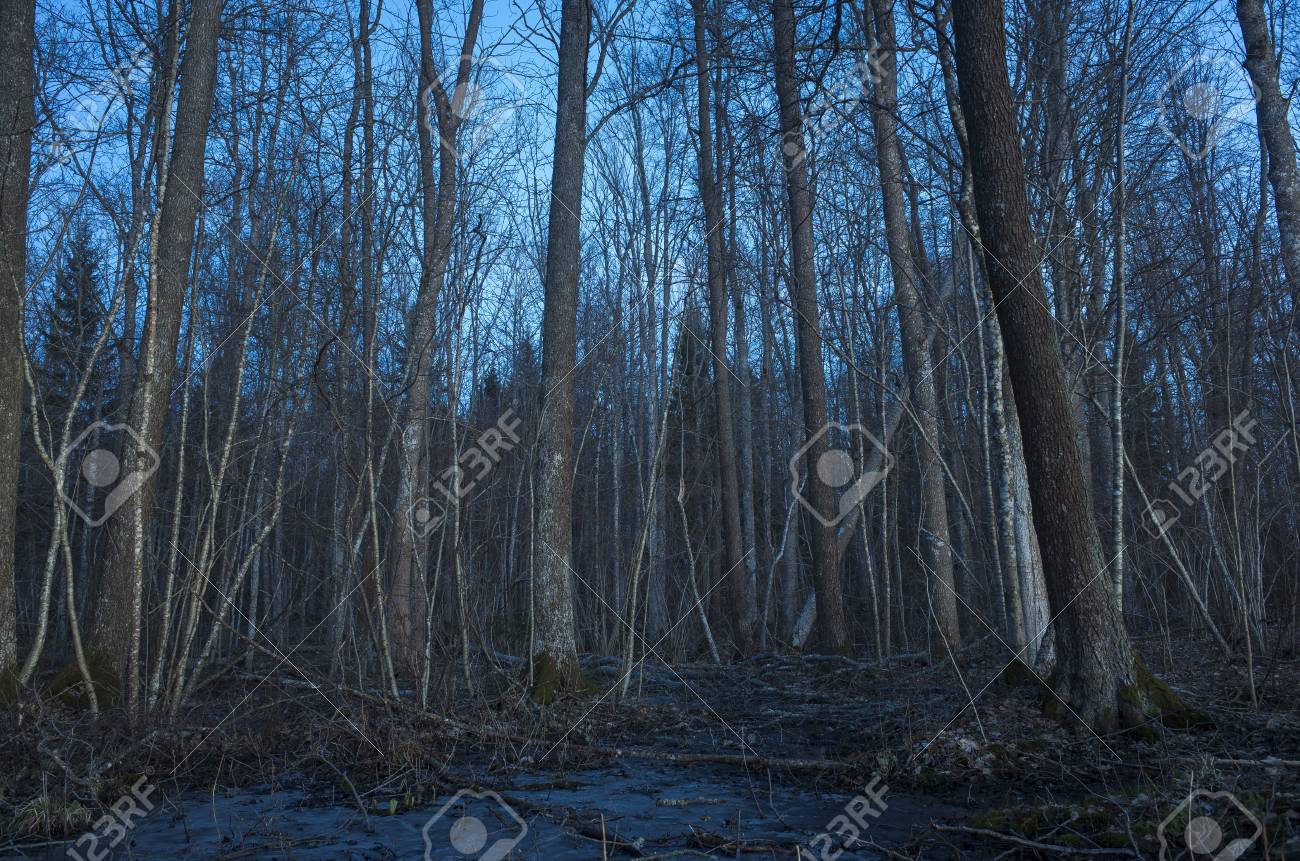 Beautiful Nature And Landscape Photo Of Spring Evening In Sweden Stock Photo Picture And Royalty Free Image Image