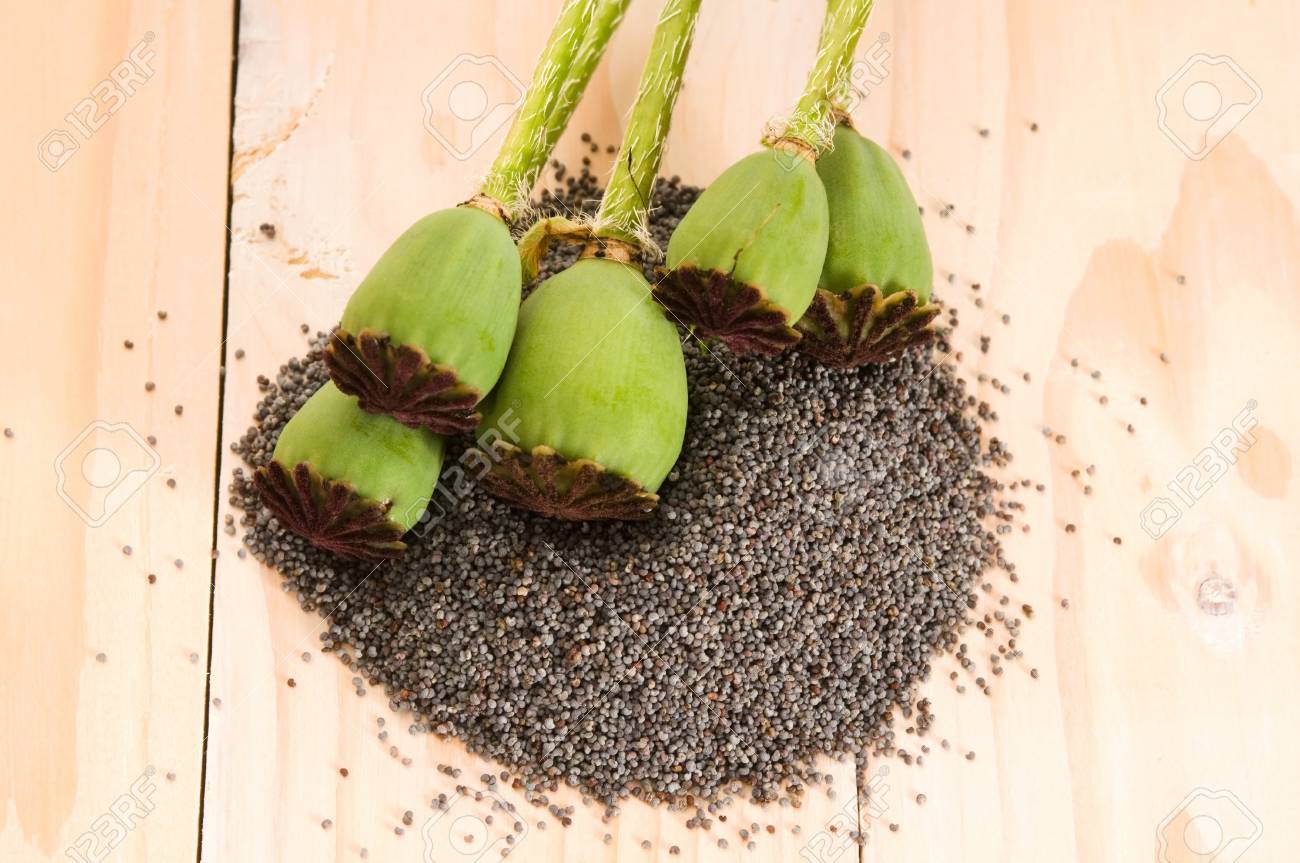 ケシの種子とポピーの頭 の写真素材 画像素材 Image