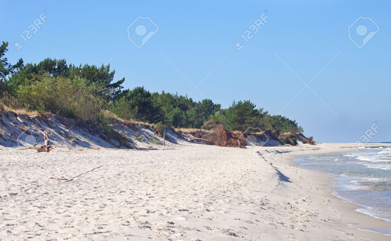 white sand beach with wild dunes hel poland stock photo picture