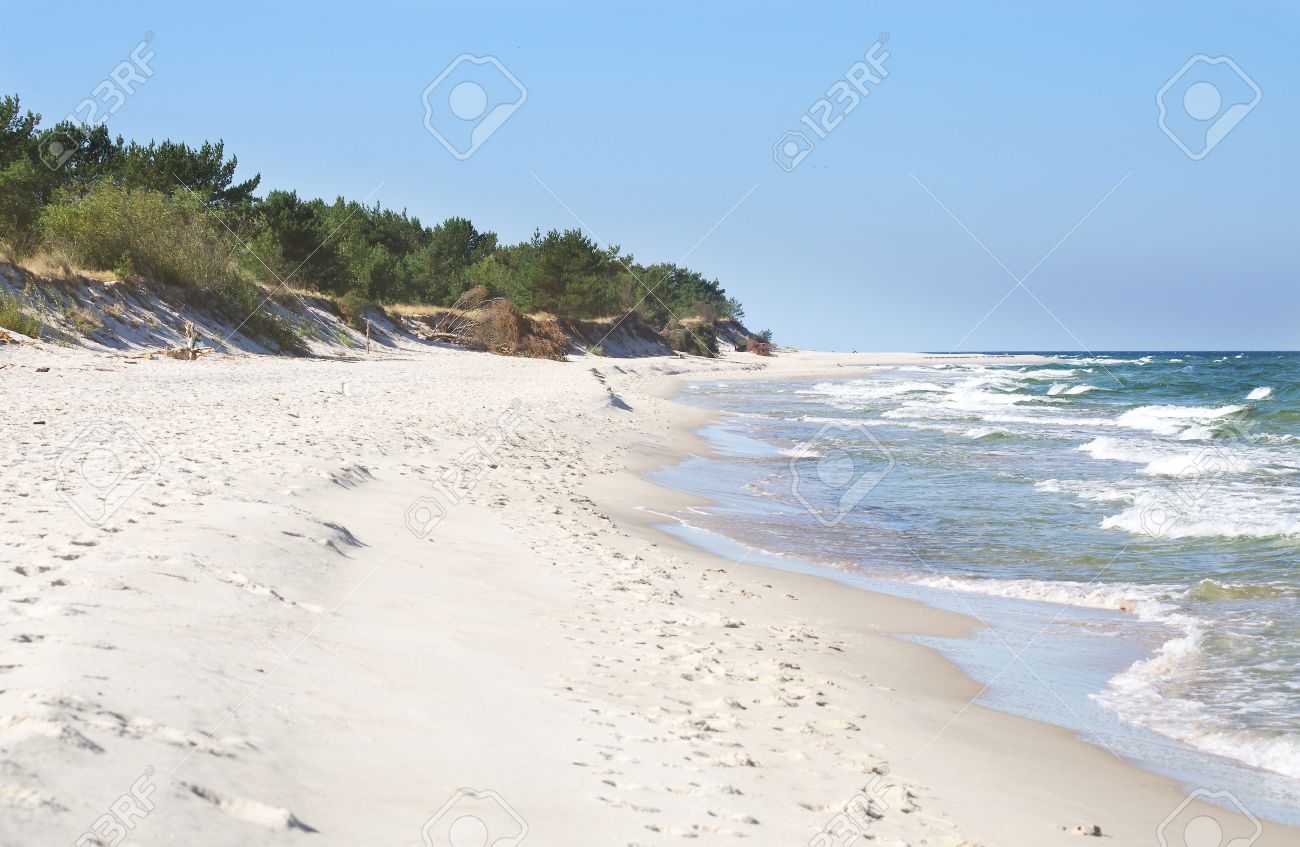white sand beach with wild dunes hel poland stock photo picture