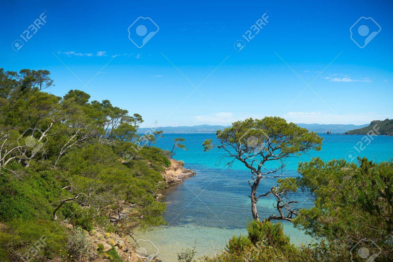 Plage Idyllique Paysage Paradisiaque Du Sud Baie De Lîle De Porquerolles En France