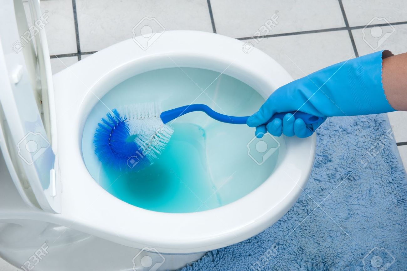 A woman cleans a bathroom toilet with a scrub brush. - 8622460 A woman cleans a bathroom toilet with a scrub brush. - 8622460