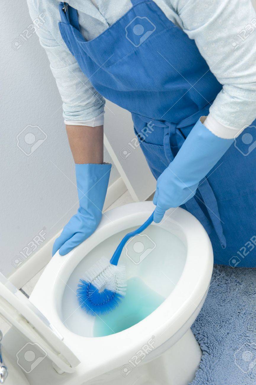 A woman cleans a bathroom toilet with a scrub brush. - 8622452 A woman cleans a bathroom toilet with a scrub brush. - 8622452