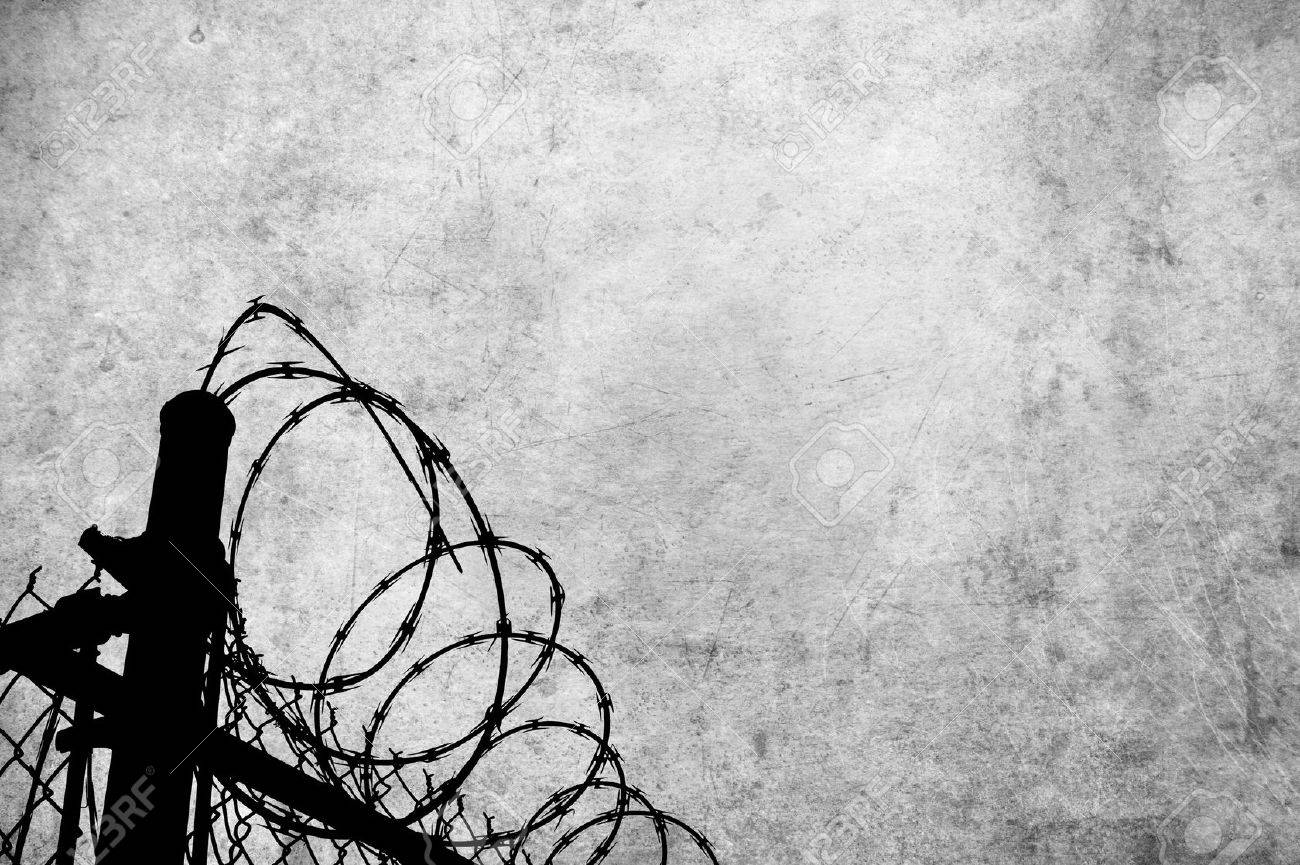 Barbed Wire Fence Prison Barbed Wire Fence Prison