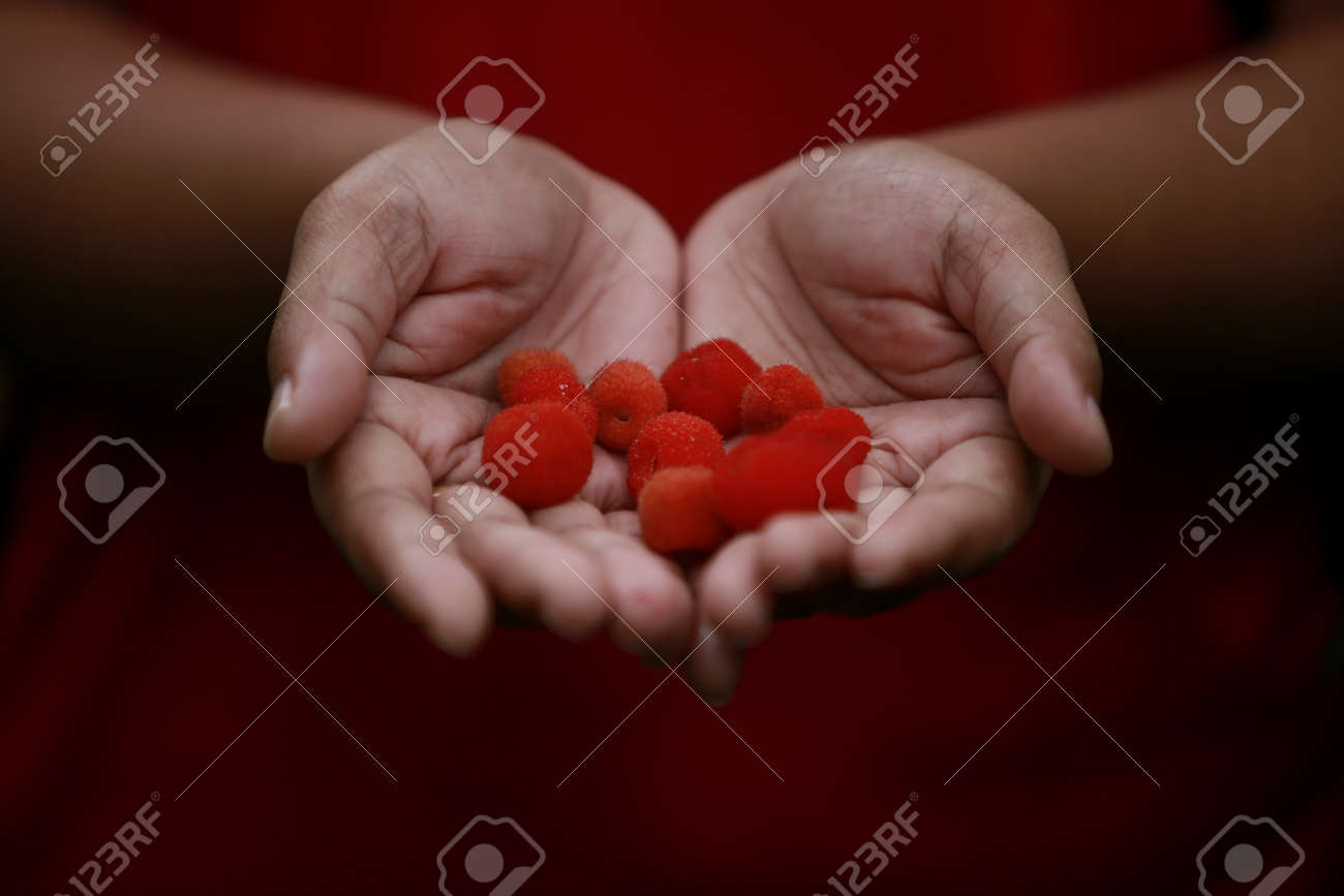 etiam-dictum-ipsum-a-felis