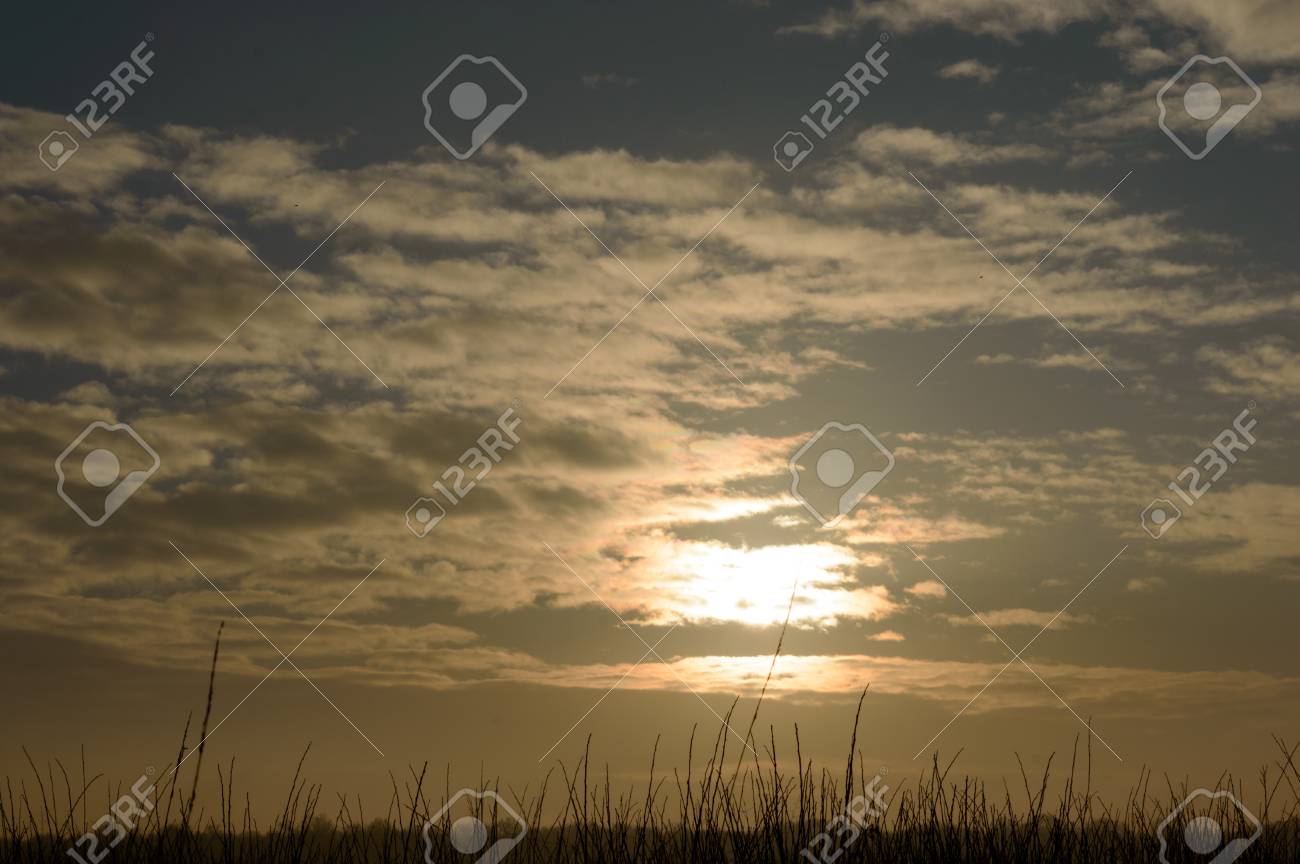 朝日が昇ると冬の朝の草原風景をトラフ少数の雲を壊す の写真素材 画像素材 Image